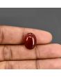 Red Yemeni Aqeeq 11.75 Carat 