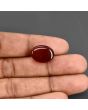 Red Yemeni Aqeeq 11.75 Carat 