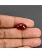 Red Yemeni Aqeeq 9.56 Carat 