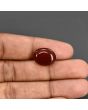 Red Yemeni Aqeeq 9.77 Carat 