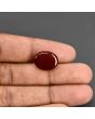 Red Yemeni Aqeeq 9.77 Carat 