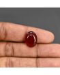 Red Yemeni Aqeeq 9.38 Carat 
