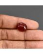 Red Yemeni Aqeeq 10.46 Carat 