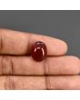 Red Yemeni Aqeeq 10.46 Carat 