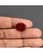 Red Yemeni Aqeeq 10.46 Carat 
