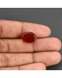 Red Yemeni Aqeeq 10.45 Carat 
