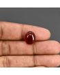 Red Yemeni Aqeeq 7.78 Carat 