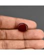 Red Yemeni Aqeeq 9.87 Carat 