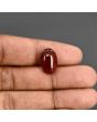 Red Yemeni Aqeeq 8.78 Carat 