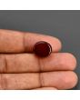 Red Yemeni Aqeeq 11.58 Carat 
