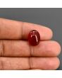 Red Yemeni Aqeeq 9.94 Carat 