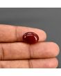 Red Yemeni Aqeeq 7.95 Carat 