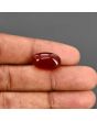Red Yemeni Aqeeq 9.99 Carat