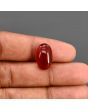Red Yemeni Aqeeq 9.99 Carat