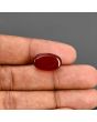 Red Yemeni Aqeeq 9.99 Carat