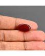 Red Yemeni Aqeeq 8.46 Carat 