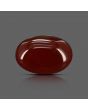 Red Yemeni Aqeeq 8.12 Carat 