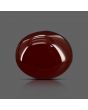 Red Yemeni Aqeeq 10.67 Carat 