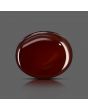 Red Yemeni Aqeeq 10.67 Carat 