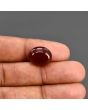 Red Yemeni Aqeeq 10.67 Carat 