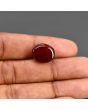 Red Yemeni Aqeeq 10.67 Carat 