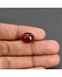 Red Yemeni Aqeeq 9.32 Carat 