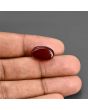 Red Yemeni Aqeeq 8.51 Carat 
