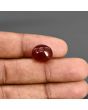 Red Yemeni Aqeeq 9.16 Carat 