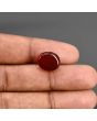 Red Yemeni Aqeeq 9.16 Carat 