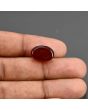 Red Yemeni Aqeeq 8.48 Carat 