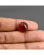 Red Yemeni Aqeeq 9.09 Carat 
