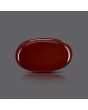 Red Yemeni Aqeeq 8.95 Carat 