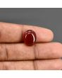 Red Yemeni Aqeeq 8.13 Carat 