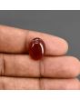 Red Yemeni Aqeeq 8.16 Carat 