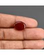Red Yemeni Aqeeq 8.16 Carat 
