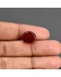 Red Yemeni Aqeeq 8.94 Carat 