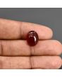 Red Yemeni Aqeeq 7.23 Carat 