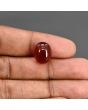Red Yemeni Aqeeq 10.27 Carat 