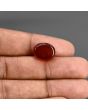 Red Yemeni Aqeeq 10.27 Carat 