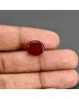 Red Yemeni Aqeeq 8.63 Carat 