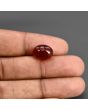 Red Yemeni Aqeeq 7.79 Carat 