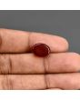 Red Yemeni Aqeeq 6.88 Carat 