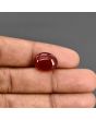 Red Yemeni Aqeeq 7.79 Carat 