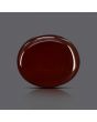 Red Yemeni Aqeeq 7.5 Carat 