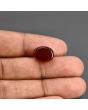 Red Yemeni Aqeeq 8.97 Carat 