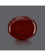 Red Yemeni Aqeeq 7.23 Carat 