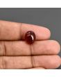Red Yemeni Aqeeq 7.42 Carat 