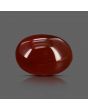 Red Yemeni Aqeeq 7.25 Carat 