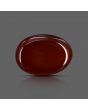 Red Yemeni Aqeeq 7.25 Carat 