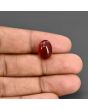 Red Yemeni Aqeeq 7.25 Carat 
